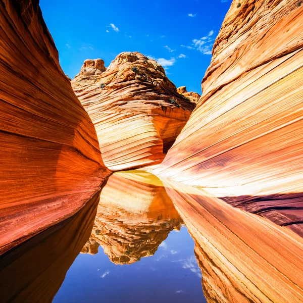 Dalga Kanyon yansıtan