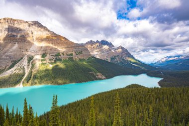 Peyto Gölü 'nde Patterson Dağı ile dağ manzarası - Kanada, Alberta, Banff Ulusal Parkı, Peyto Gölü - Rocky Dağları