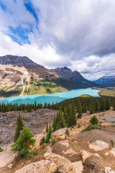 Fjellandskap med Mount Patterson ved Peyto Lake - Canada, Alberta, Banff nasjonalpark, Peyto Lake - Rocky Mountains – stockfoto