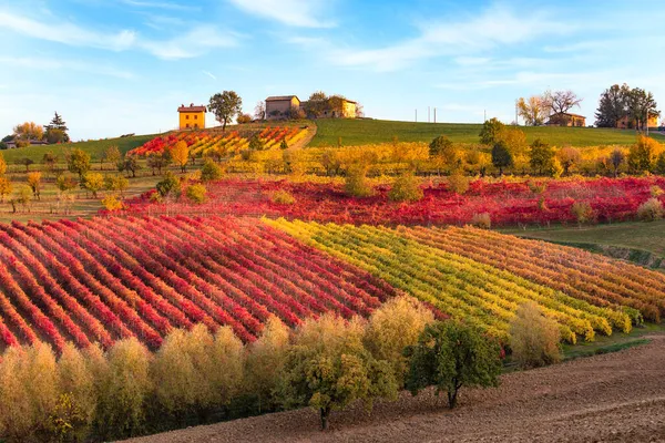 Vinhedos e paisagem de outono, colinas e cores de outono — Fotografia de Stock