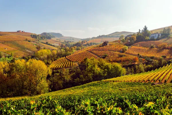 Langhe, Piemonte, Italia. Paesaggio d'autunno — Foto Stock
