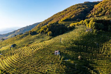 Valdobbiadene, Prosecco yolu boyunca tepeler ve üzüm bağları. İtalya