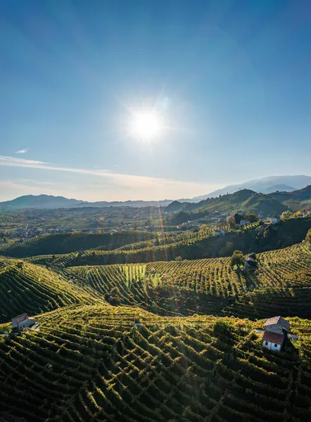 Valdobbiadene, åser og vingårder langs Prosecco-veien. Italia – stockfoto