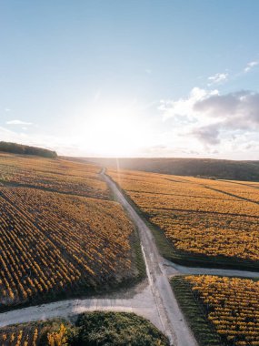 Şarap yolu, köy yolu ve Chablis üzüm bağları. Burgundy, Fransa