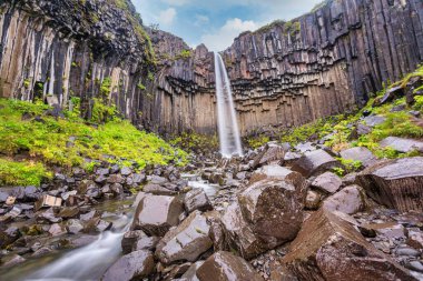 Svartifoss Şelalesi, Güney İzlanda 'daki en güzel şelalenin üst kısmının ayrıntıları.