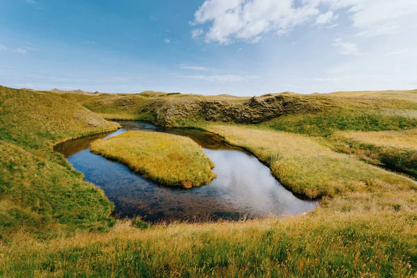 Icelandic panorama, gooseneck and meadow. Iceland — стоковое фото