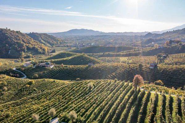 Valdobbiadene, Veneto, İtalya 'daki üzüm bağlarının hava manzarası — Stok fotoğraf