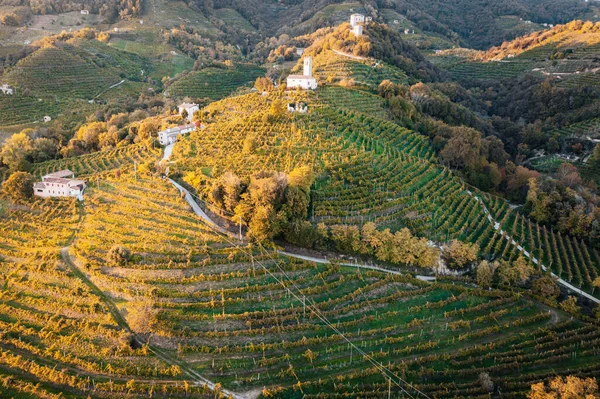 Aerial view of Vineyards in Valdobbiadene, Veneto, Italy – stockfoto
