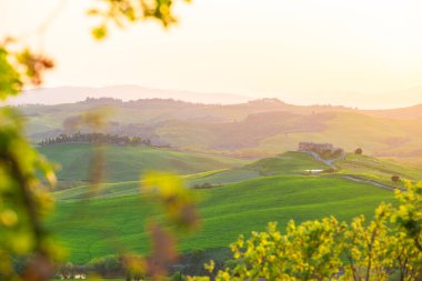 Orcia Valle, Tuscany, İtalya 'da yeşil yuvarlanan manzara