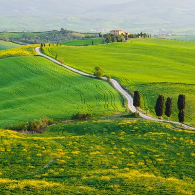 Orcia Valle, Tuscany, İtalya 'da yeşil yuvarlanan manzara