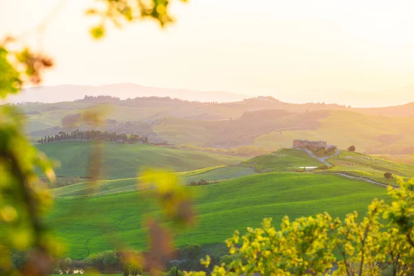 Orcia Valle, paisaje ondulado verde en Toscana, Italia — Foto de Stock