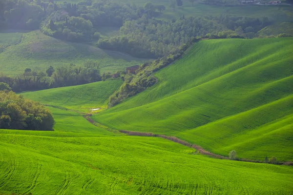 Orcia Valle, zelená krajina v Toskánsku, Itálie — Stock fotografie