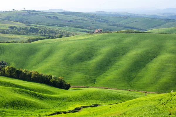 Orcia Valle, grönt böljande landskap i Toscana, Italien — Stockfoto