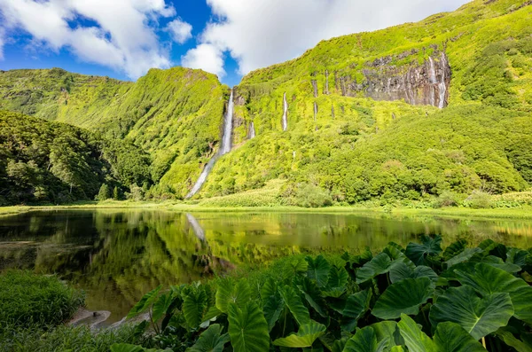 Poco da Ribeira do Ferreiro, Flores, Azores Islands. Waterfalls and landscape – stockfoto