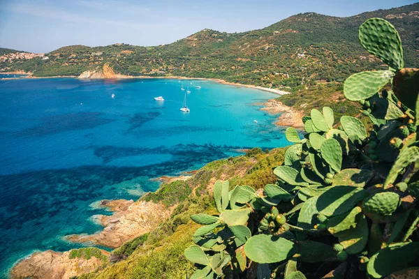 Etelä-Korsika, turkoosi meri ja vihreä maisema ylhäältä. Ranska — kuvapankkivalokuva