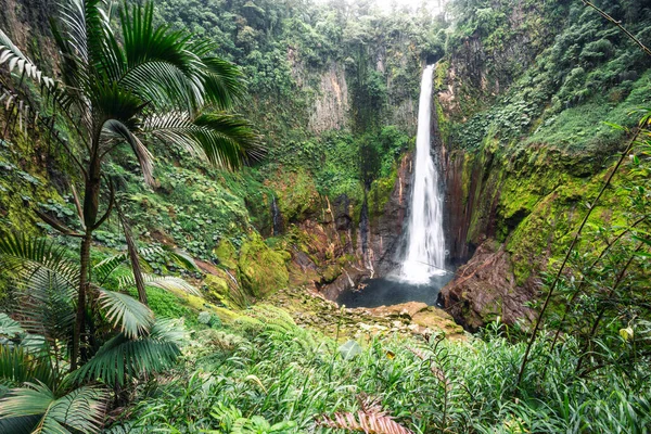 Catarata Del Toro Wild Waterfall Costa Rica High Quality Photo — Stock Photo, Image