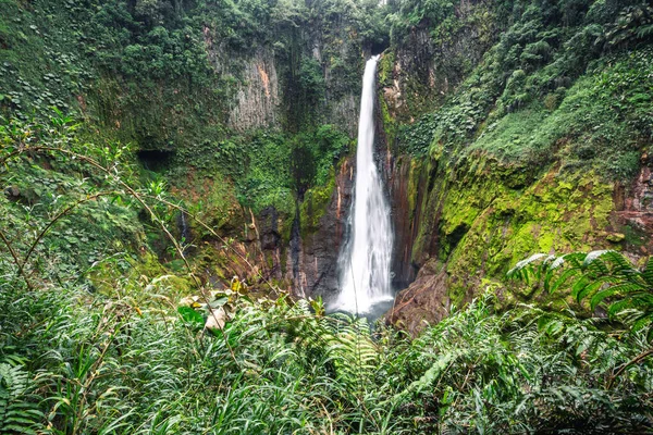 Catarata Del Toro Wilder Wasserfall Costa Rica Hochwertiges Foto — Stockfoto