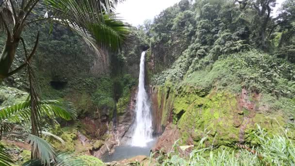 Catarata Del Toro Vilda Vattenfall Costa Rica Högkvalitativt Foto — Stockvideo