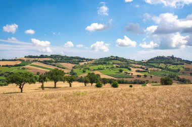 Marche Bölgesi, İtalya. Kırsal alan. Yüksek kalite fotoğraf