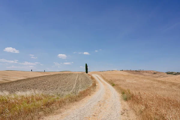 Toscana Sommarlandskap Stig Och Gyllene Fält Italien Högkvalitativt Foto — Stockfoto