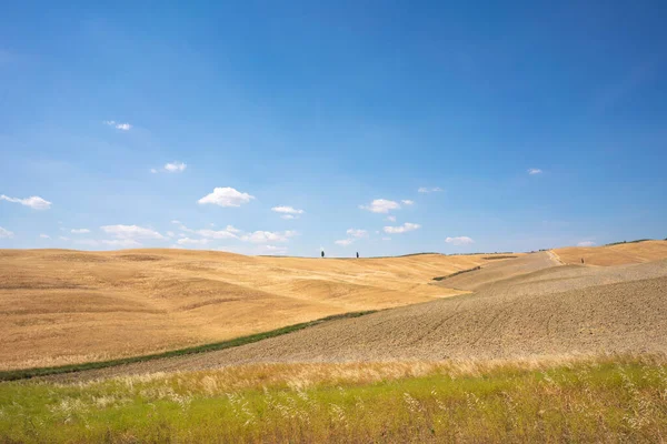 Toscana Paesaggio Estivo Sentieri Campi Dorati Italia Foto Alta Qualità — Foto Stock