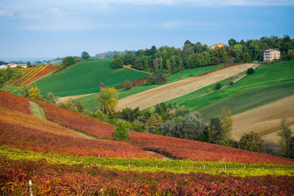 Vinhedos Paisagem Outono Colinas Ondulantes Cores Outono Foto Alta Qualidade — Fotografia de Stock