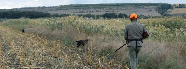 Avlanırken Sırasında Hayvanı Hayvanı Arayan Kamuflajlı Bir Avcı Sonbahar Sezonu — Stok fotoğraf