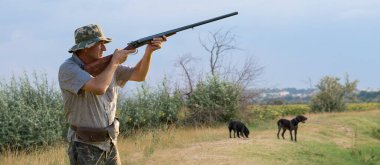 Avlanırken av sırasında av hayvanı ya da av hayvanı arayan kamuflajlı bir avcı. Sonbahar av sezonu.