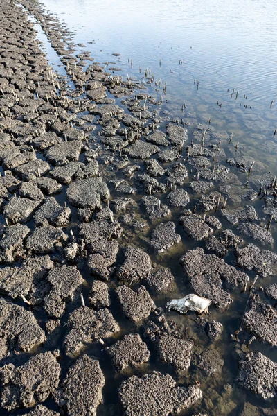 Paisaje Seco Fondo Agrietado Suelo Seco Tierra Agrietada Superficie Del — Foto de Stock