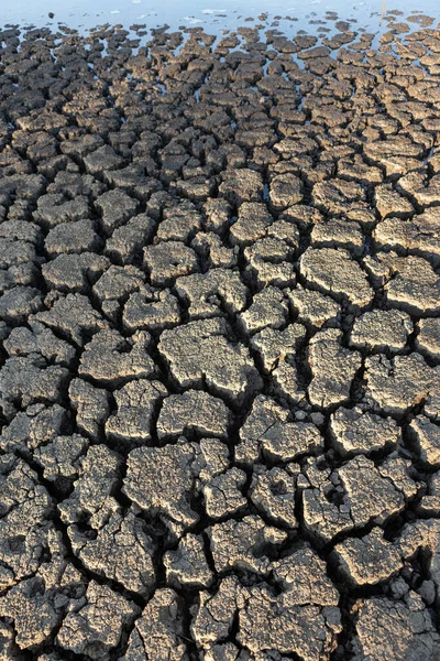 Landscape Dried Cracked Background Soil Dry Land Cracked Ground Surface — Stock Photo, Image