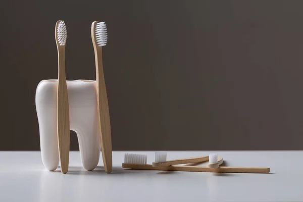 Set Eco Friendly Bamboo Wooden Toothbrushes Tooth Shaped Holder — Stock Photo, Image