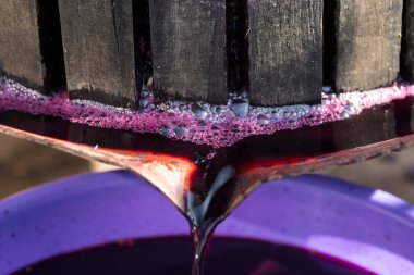 Kırmızılı şarap presi ve sarmal vida. Geleneksel şarap yapma tekniği. Üzüm filtreleme.