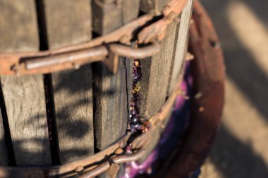 Kırmızılı şarap presi ve sarmal vida. Geleneksel şarap yapma tekniği. Üzüm filtreleme.