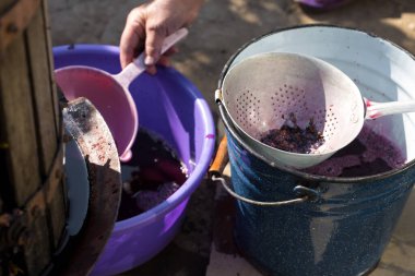 Kırmızılı şarap presi ve sarmal vida. Geleneksel şarap yapma tekniği. Üzüm filtreleme.