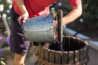 Kırmızılı şarap presi ve sarmal vida. Geleneksel şarap yapma tekniği. Üzüm filtreleme.