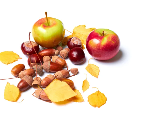 Hermosa naturaleza muerta de otoño, que se compone de bellotas, manzanas — Foto de Stock