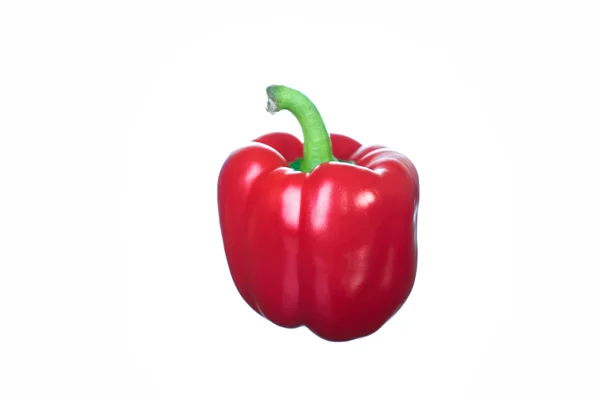Färsk röd paprika. isolerad på vit bakgrund — Stockfoto