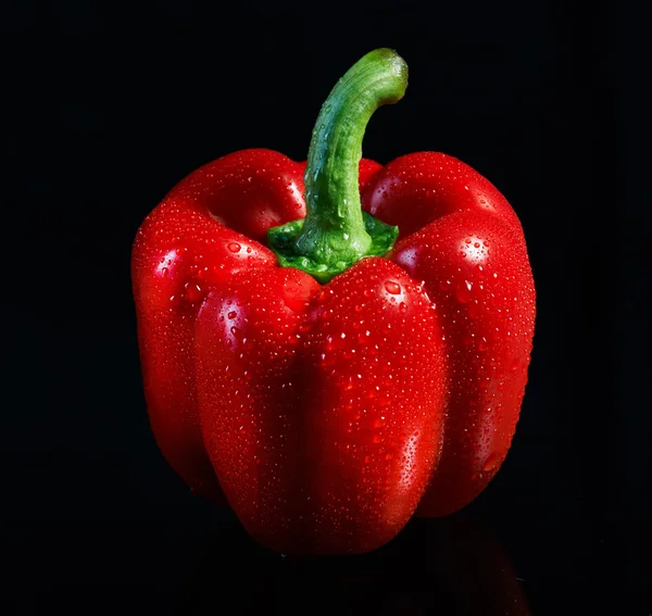 taze kırmızı biber su damlaları ile kaplı.