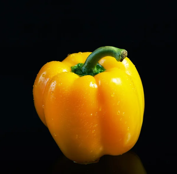 Verse gele paprika, bedekt met druppels water. — Stockfoto