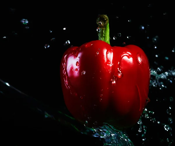 Utsprutande vatten på röd paprika. — Stockfoto