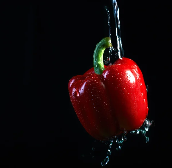 Splashed water on the red pepper. On a black background — Stock Photo, Image