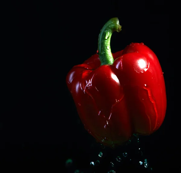 Splashed water on the red pepper. On a black background — Stock Photo, Image