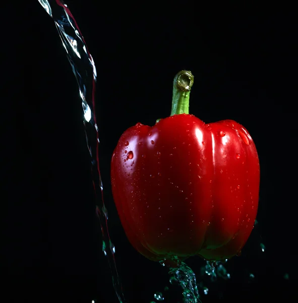 Splashed water on the red pepper. On a black background — Stock Photo, Image