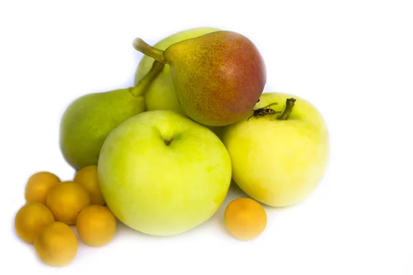 Apples, pears and cherry-plums