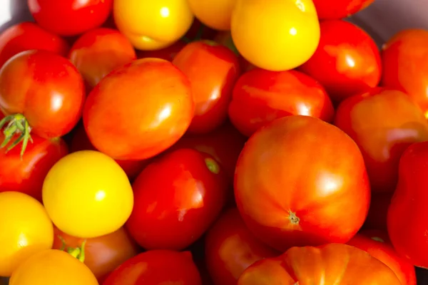 Tomatoes — Stock Photo, Image