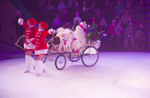 Xouple de Santas s'occuper d'un chariot — Photo