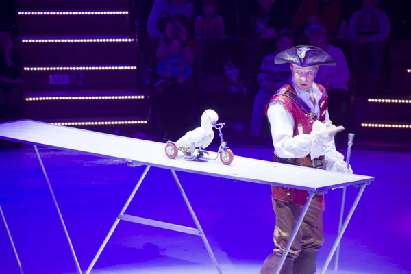 Numéro de cirque avec oiseau — Photo