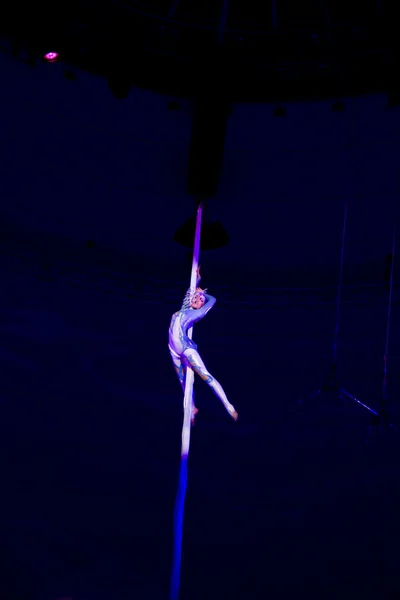 Літаючих гімнастка — стокове фото