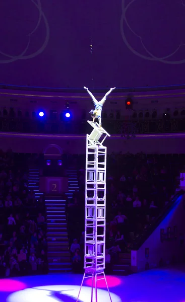 Circus number — Stock Photo, Image