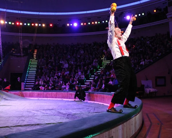 Circus show — Stock Photo, Image